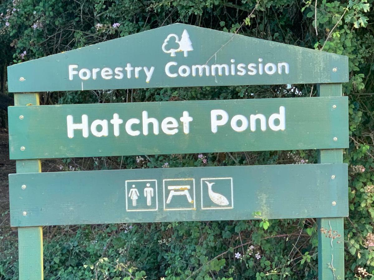 Forest & Beach Access Naish Park Leilighet New Milton Eksteriør bilde